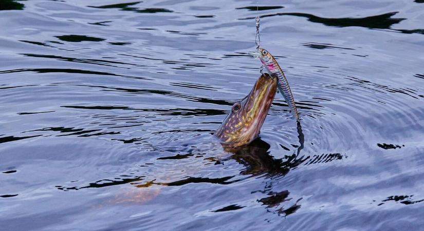 A horgászat és a felszerelés kapcsolata