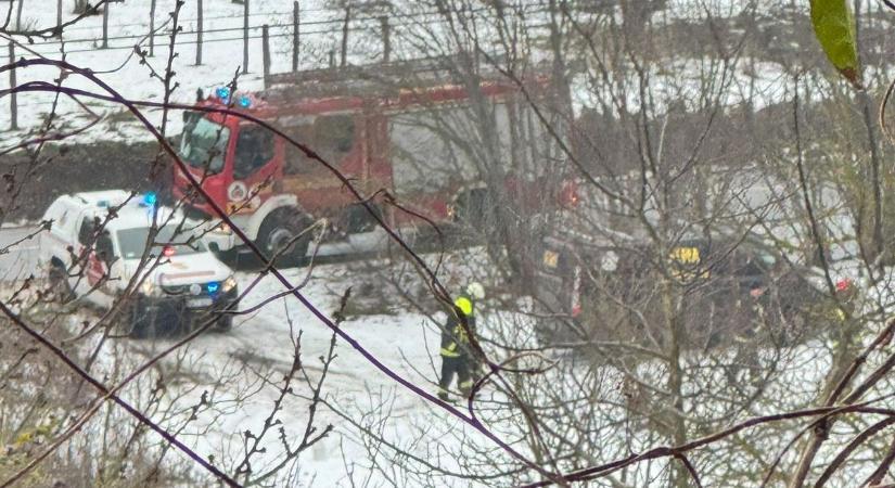 Súlyos támadás érte a Fema Állatmentőket – a menhely nem zár be