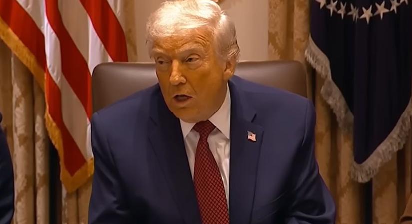 Trump meneszti a minneapolisi ICE fejét a túlkapások után