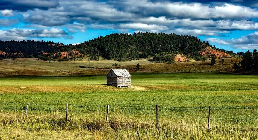 Magasabb haszonkulcs egy bővülő piacon