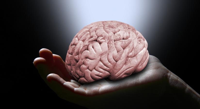 Azonosítottak egy agyi folyamatot, ami a megtestesült létezés élményét formálja