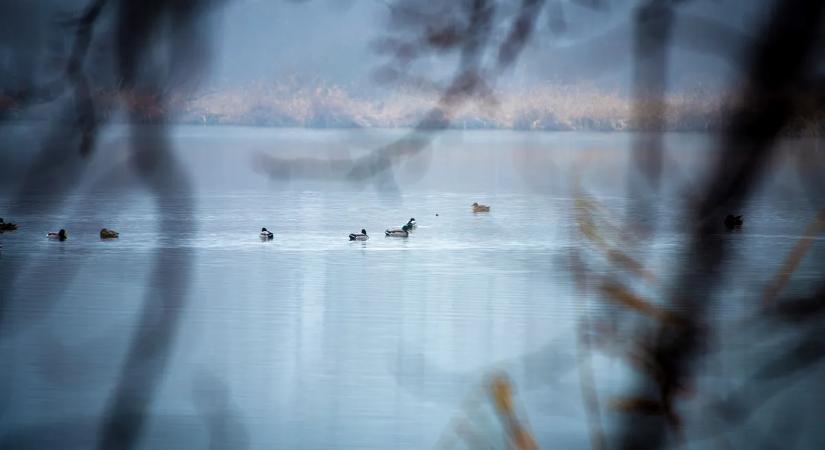 Íme Budapest óriástava télen – Igazi csoda a város szélén egy könnyű kiránduláshoz