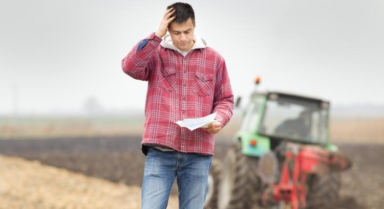 Kárrendezés Bászna Gabona-ügyben: sietni kell az igényekkel
