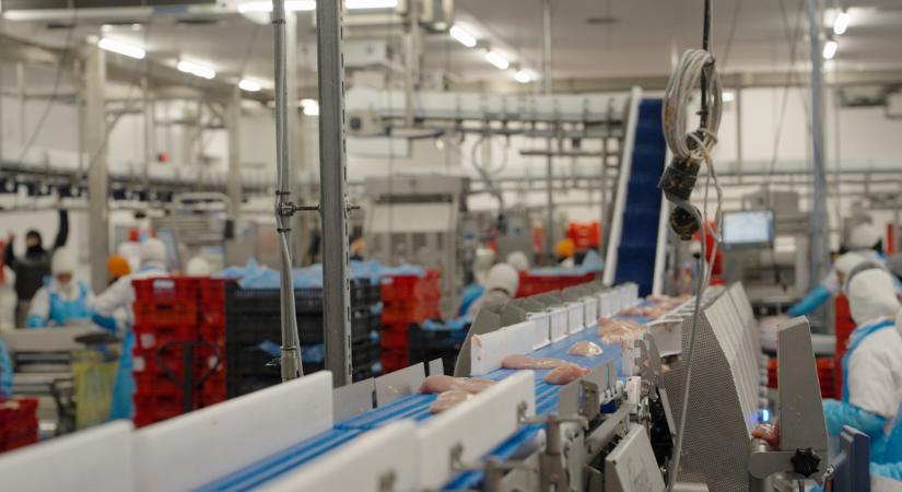 Tarol ezzel a hússal a magyar termelő: itthon és külföldön is sokan keresik