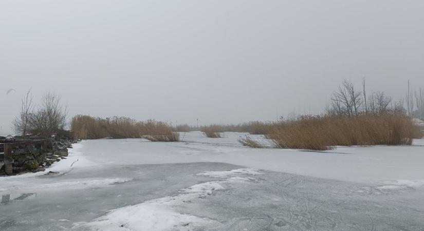 Amikor háton vitték a Napló riporterét: egy régi balatoni mesterség képei (galéria  videó)