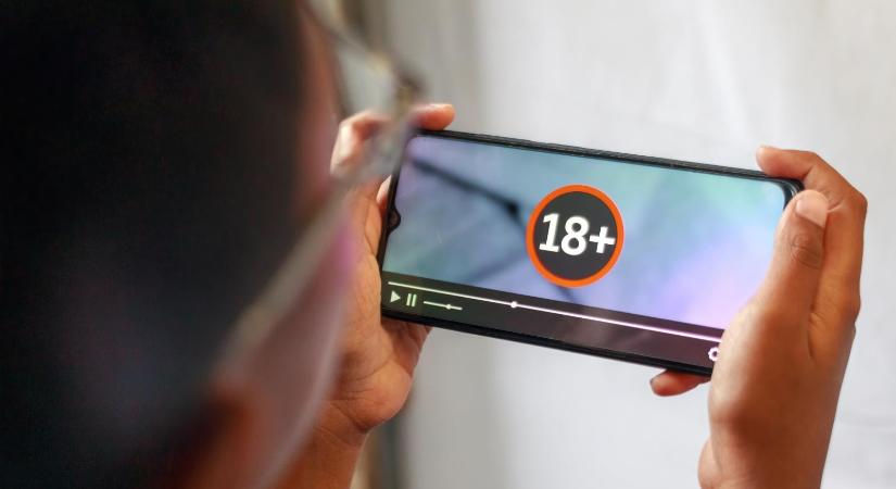 A fideszesek támogatnák a leginkább, a nők túlnyomó többsége bevezetné, hogy csak személyi igazolvánnyal lehessen pornóoldalakat látogatni