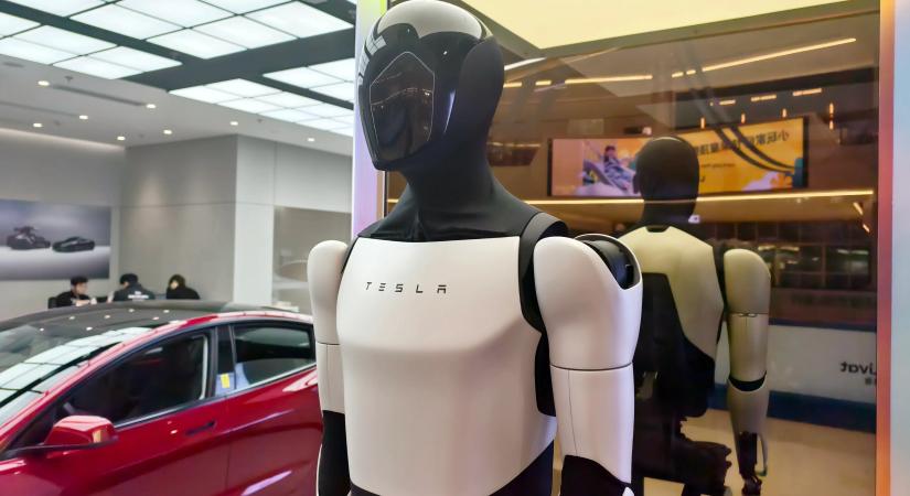 Azt ígéri Elon Musk, hogy 2027-ben már megjelennek a háztartásokban az Optimusok