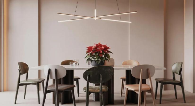 Ne dobd ki – a mikulásvirág januárban új életet kezd!