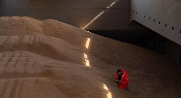 Lengyelország panaszt tett az EU Tanácsánál az ukrán agrárimport miatt