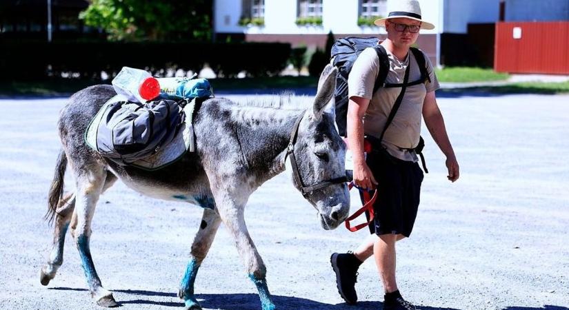 Átkelt a szivárványhídon Füles, az ország leghíresebb szamara