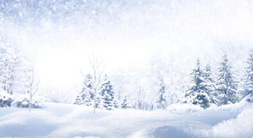 Optikai illúzió: hol a jegesmedve? Ritka képességei vannak, ha rátalál 8 másodperc alatt