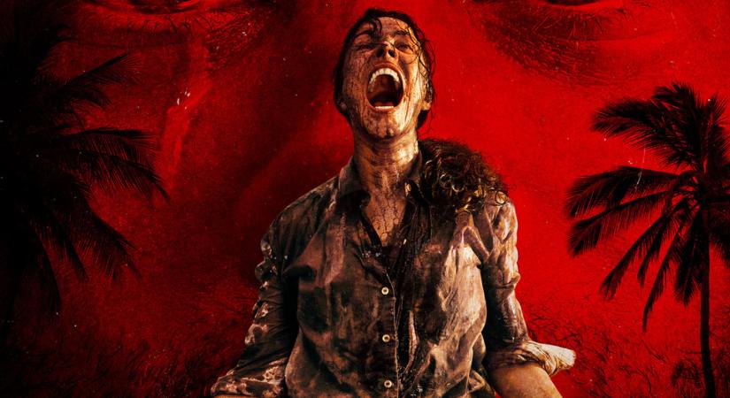 Máris megvan az év horrorja? Már a héten láthatod a kritikusok új kedvencét!