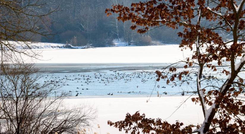 Holnapra vége a tavasznak? – Ilyen idő lesz Tolnában!