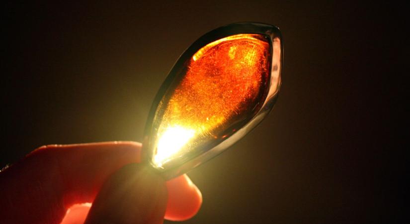 Elképesztő: 40 millió éves hangyát találtak Goethe borostyánjában