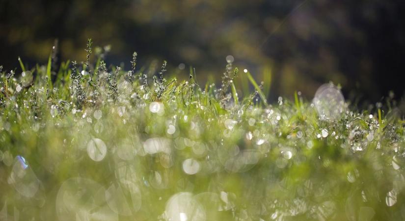 Mintha elfelejtette volna a tél, hogy január van – ilyen idő lesz holnap Hevesben