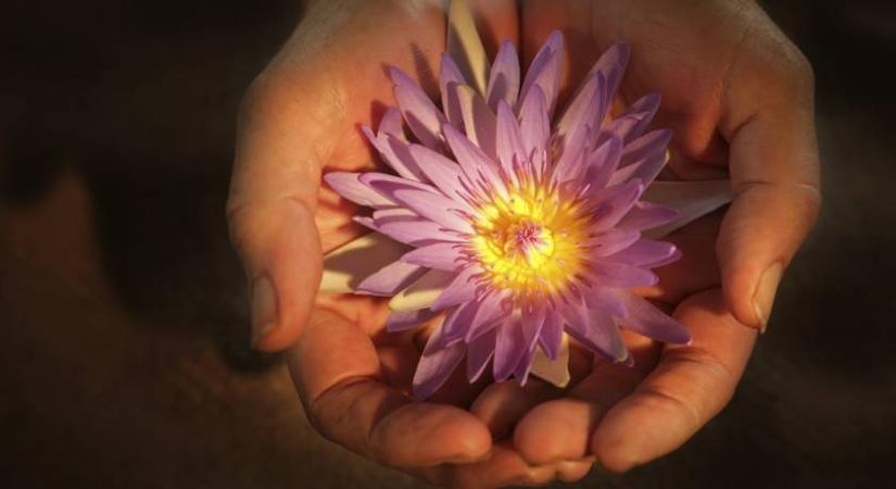 Logikus a gondolkodásod? Akkor erre a fejtörőre azonnal tudni fogod a választ