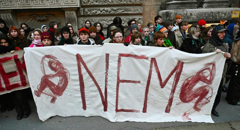 A Kúriához fordult az ügyészség a képzőművészetis hallgatótársa megerőszakolásával vádolt férfi felmentése miatt