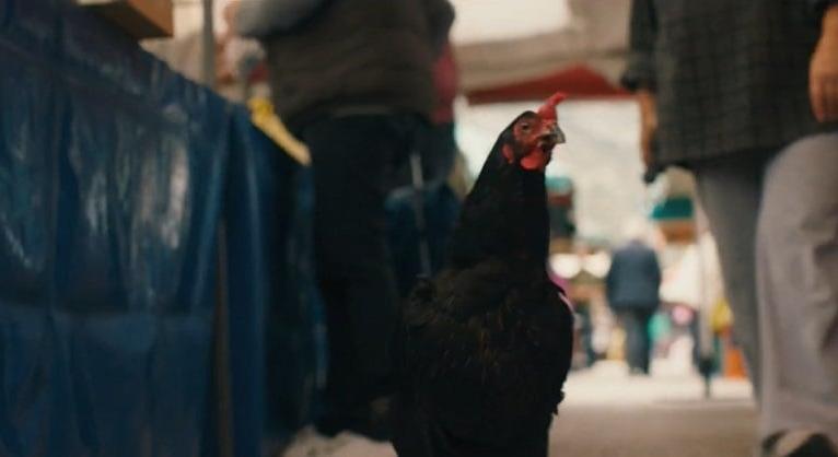 Teljesen CGI-mentes: A tyúk nyitja meg a 45. Magyar Filmszemlét