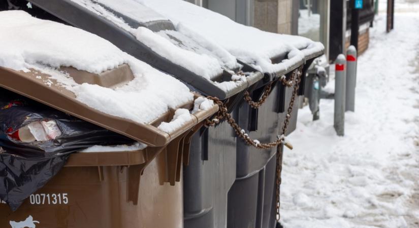 Veszélyben van a kukád! Így előzheted meg a bajt!