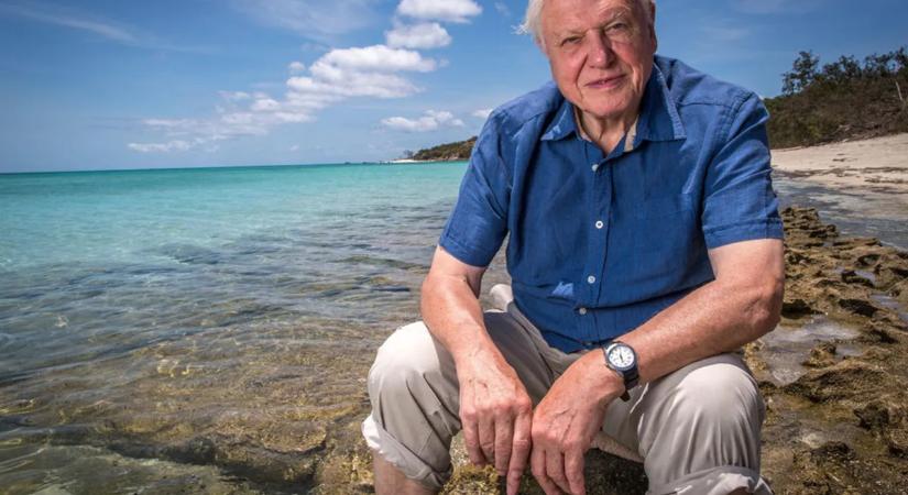 131 éves gyilkossági rejtélynek vetett véget a David Attenborough kertjében talált koponya