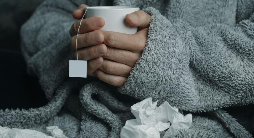 Miért esik jól a meleg ital betegség idején? – A hatás nem csak pszichés