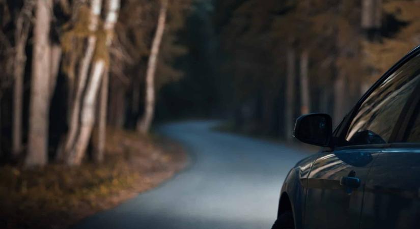 Autósok, figyelem! Egy darabig most könnyebben keveredhettek vadbalesetbe