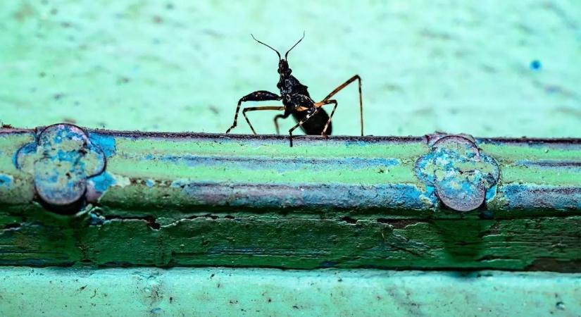 Ez az első dolog, amit kötelező megnézni, ha egy szállásra érkezik