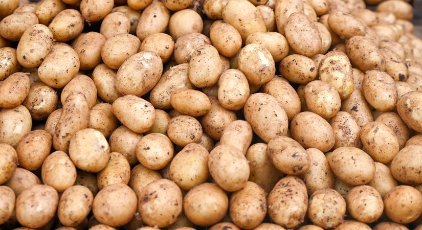 Így sózzák ránk a selejtes burgonyát a boltokban: sokan észre sem veszik