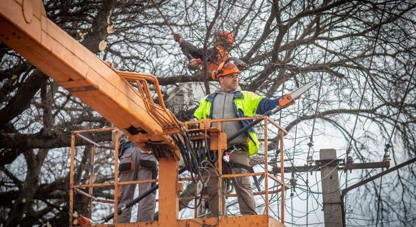 Ha nem akarja, hogy más metssze meg a fáját, a héten még elvégezheti – aztán jönnek!
