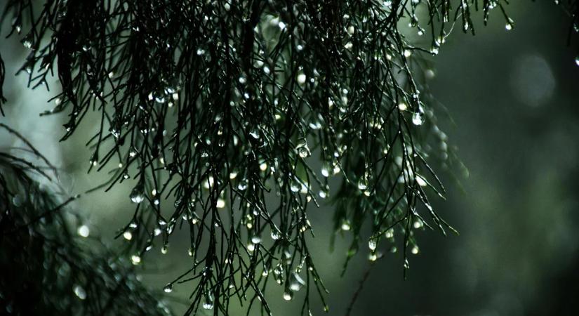 Elő az esernyőkkel! Közelednek a tavasz előtti esőzések