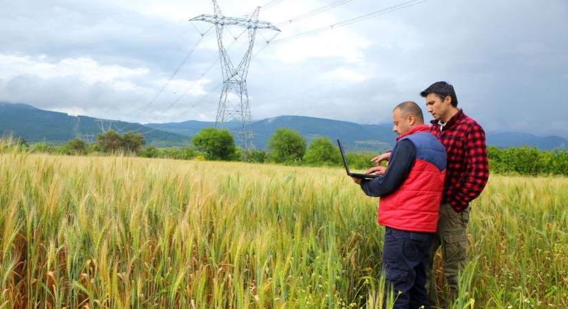 Fogynak a napok! Nagyon fontos határidő jár le február 2-án!