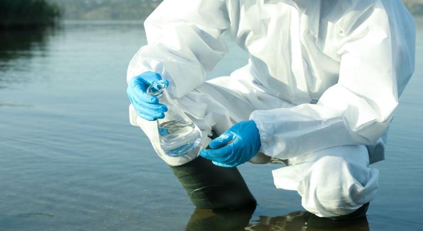 Már külföldiek is vizsgálják, hogy mi történik a Balaton vizével