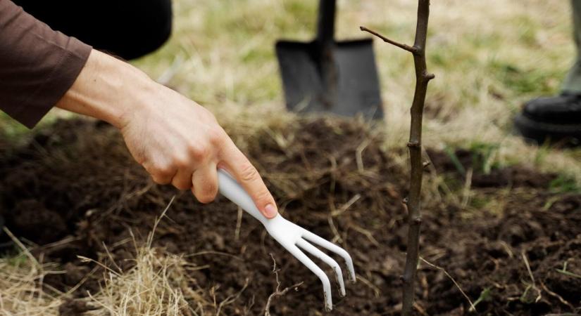 Adatalapú karbonlábnyom-csökkentés a gyakorlatban: mérés és kompenzáció a SPAR meghatározó rendezvényein