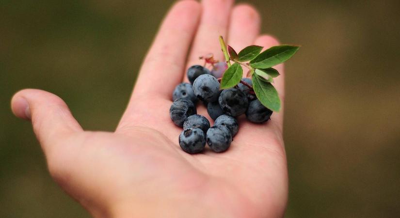 Monitor, telefon, tablet: így sínyli meg a szemünk, és ezt tehetjük ellene