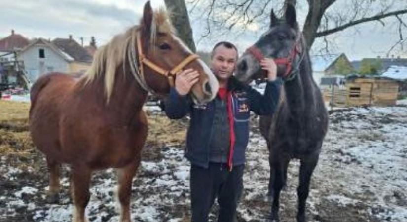 Szia Uram, eladó lovas halottas hintó érdekel? - fotó