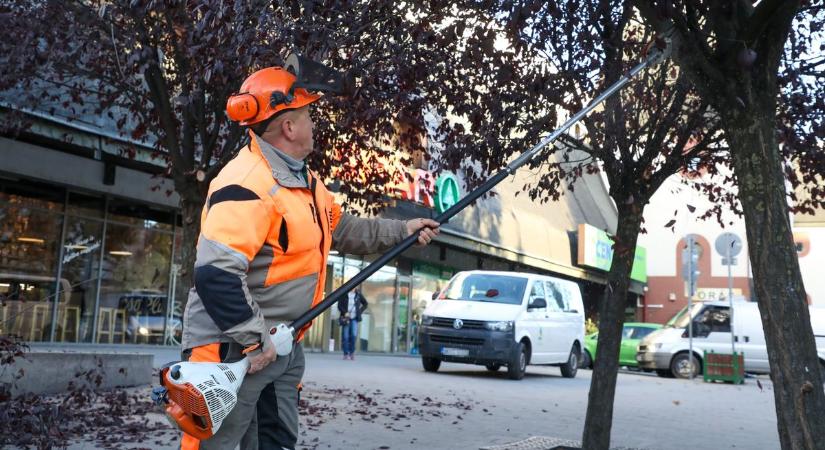 Fülsüketítő zaj reggel fél 8 előtt Kertvárosban: kinek az érdekeit szolgálja ez?