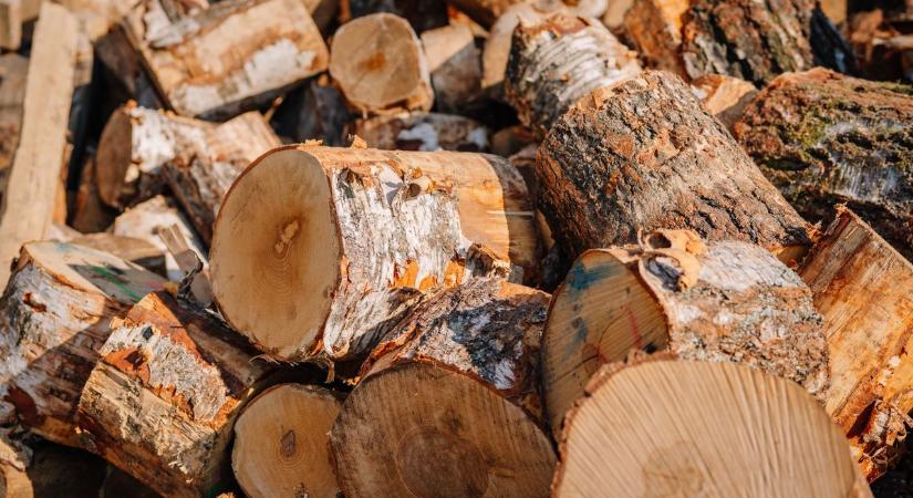 Eltűntek a fák egy vidéki településen, magyarázatot várnak a helyiek