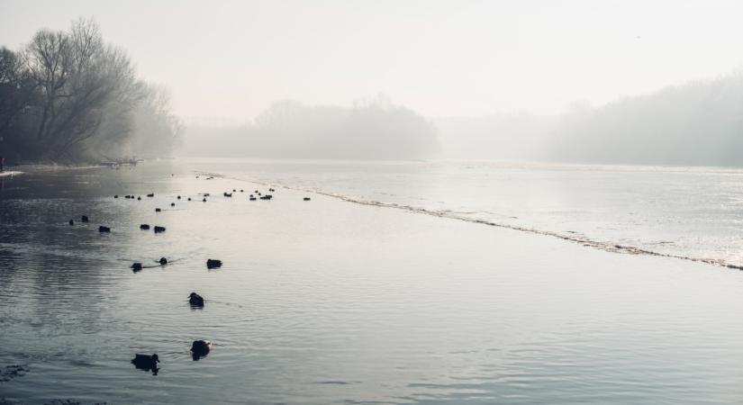 Aggasztó, ami a Tiszánál zajlik: nem túl jók a folyó kilátásai