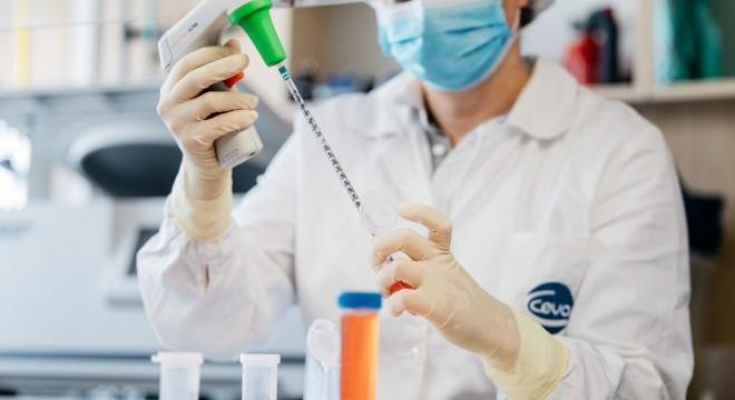 Ilyen környezetben készülnek az állatorvosi vakcinák