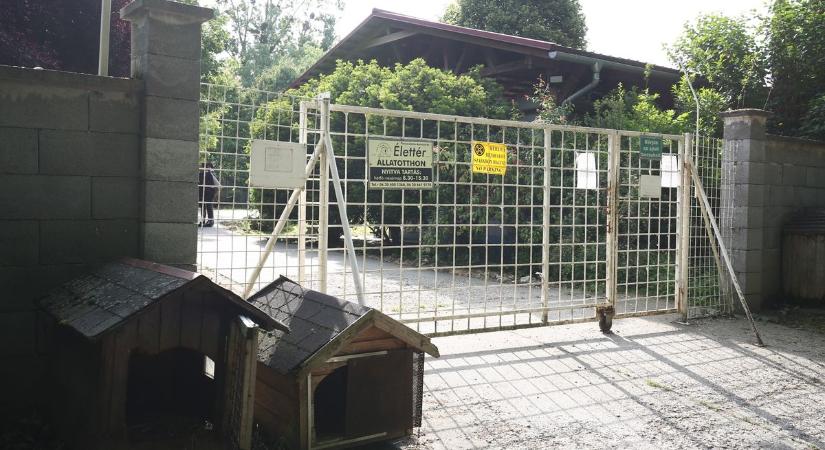 Soha vissza nem térő alkalom Zalában: ilyen névvel még biztosan nem fogadtak örökbe kutyát!