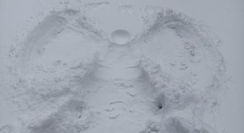 Hóangyalok márpedig vannak, még hó se kell hozzá, mi találtunk párat a Bakonyban