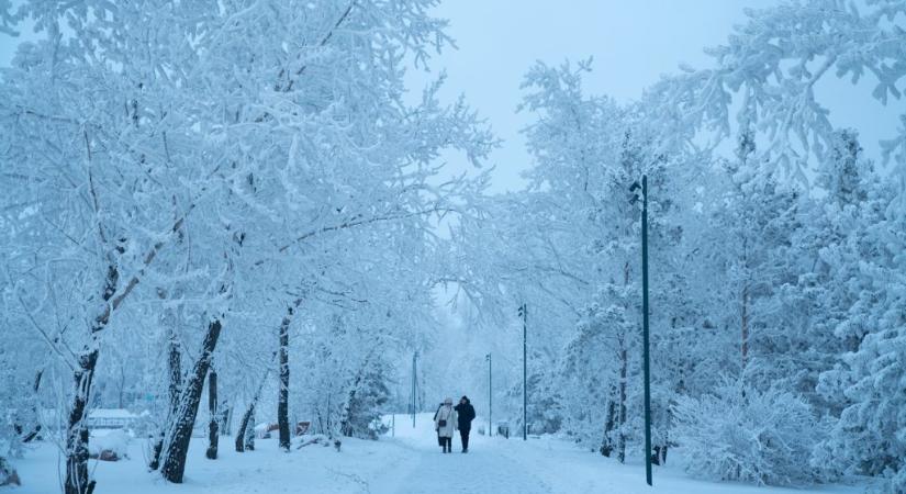 Tényleg vannak felrobbanó fák Amerikában?