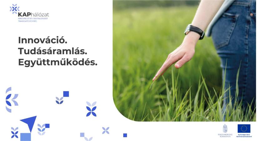 Innovációtól a gyakorlatig – hidat épít az ITE az agráriumban