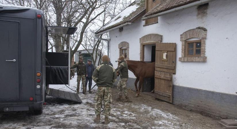 Nagy megtiszteltetés érte: katonai szolgálatra indul Eboni