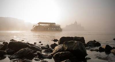 Hétvégi programajánló: Budai disznótor, drMáriás-kiállítás, Zsákbamacska a Gólyában