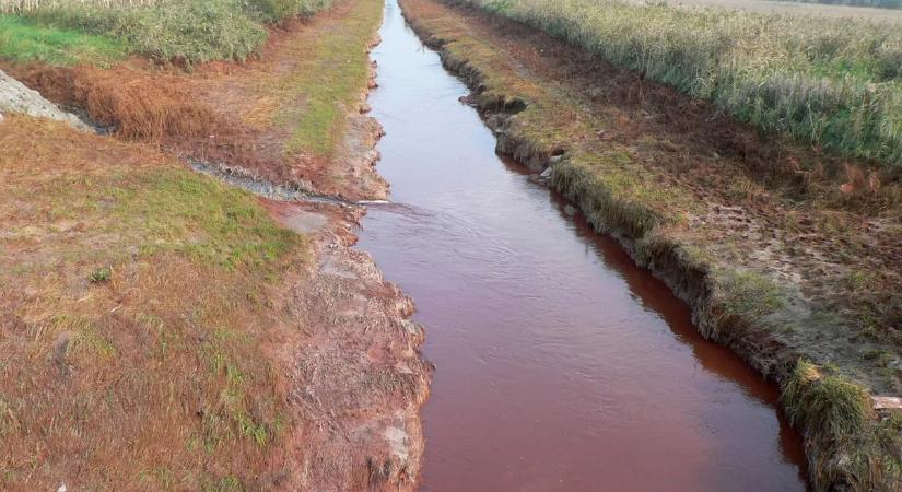 Olajszennyezés történt a Rákos-patakon