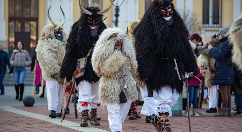 Negyedik alkalommal érkeznek a mohácsi busók Nagykanizsára