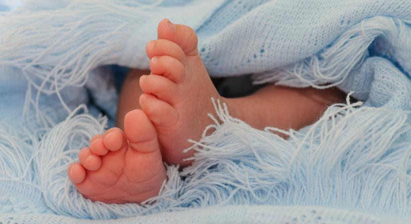 Fókuszban a krízishelyzetben lévő édesanyák: ilyen jótékonységi esemény még nem volt Budapesten