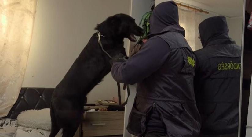 Azonnal bezáratták a Heves melletti bontót, kint a piros papír – rájöttek a rendőrök, mi a bűnös biznisz – videóval