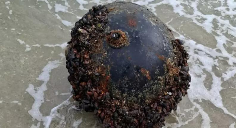 Konstanca megye: tengeri aknát sodort partra a víz